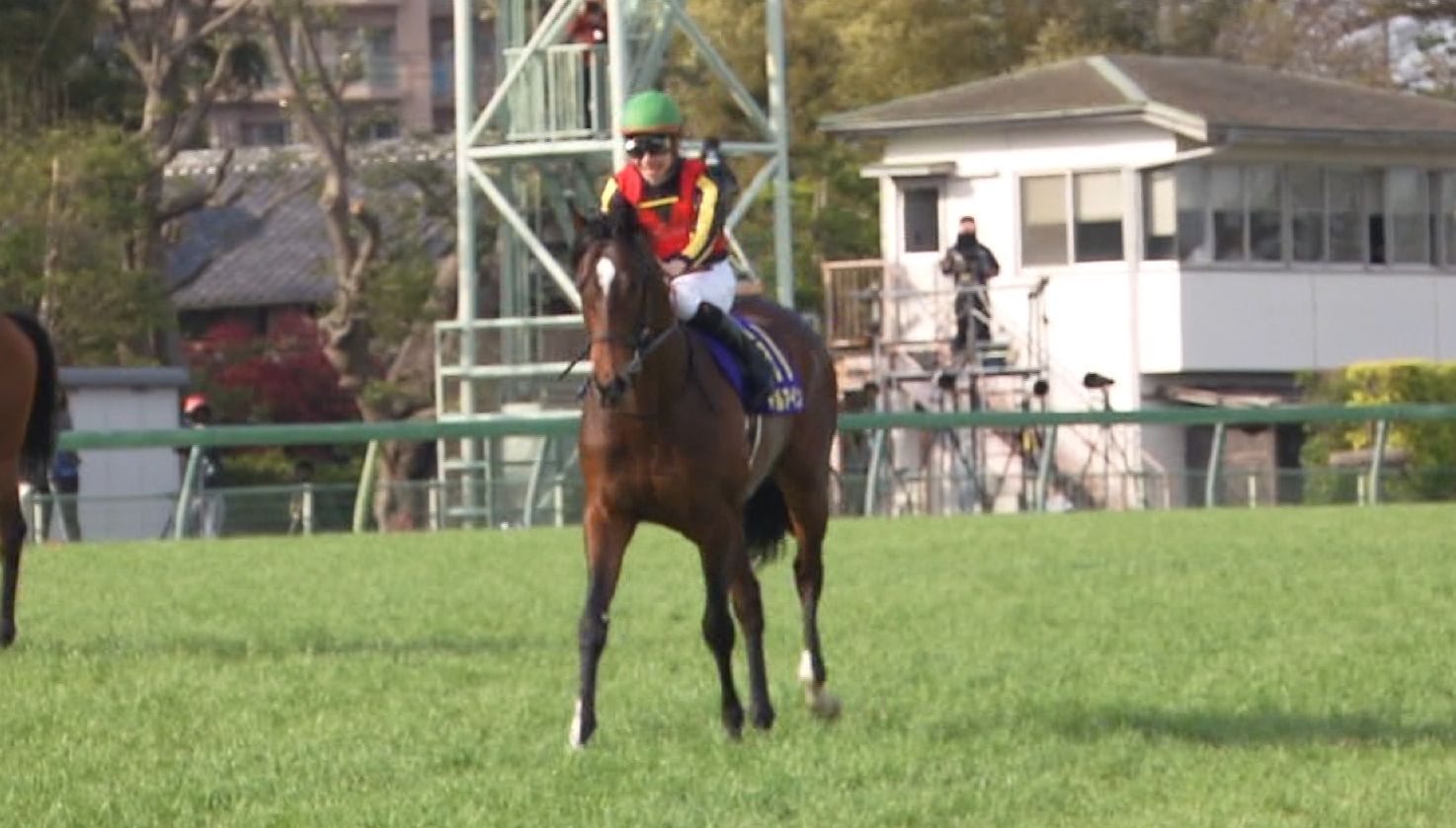 【競馬】アーリントンc1着、毎日杯1着で皐月ワンツーｗｗｗ