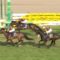 【競馬】今年のダービー、もう無茶苦茶