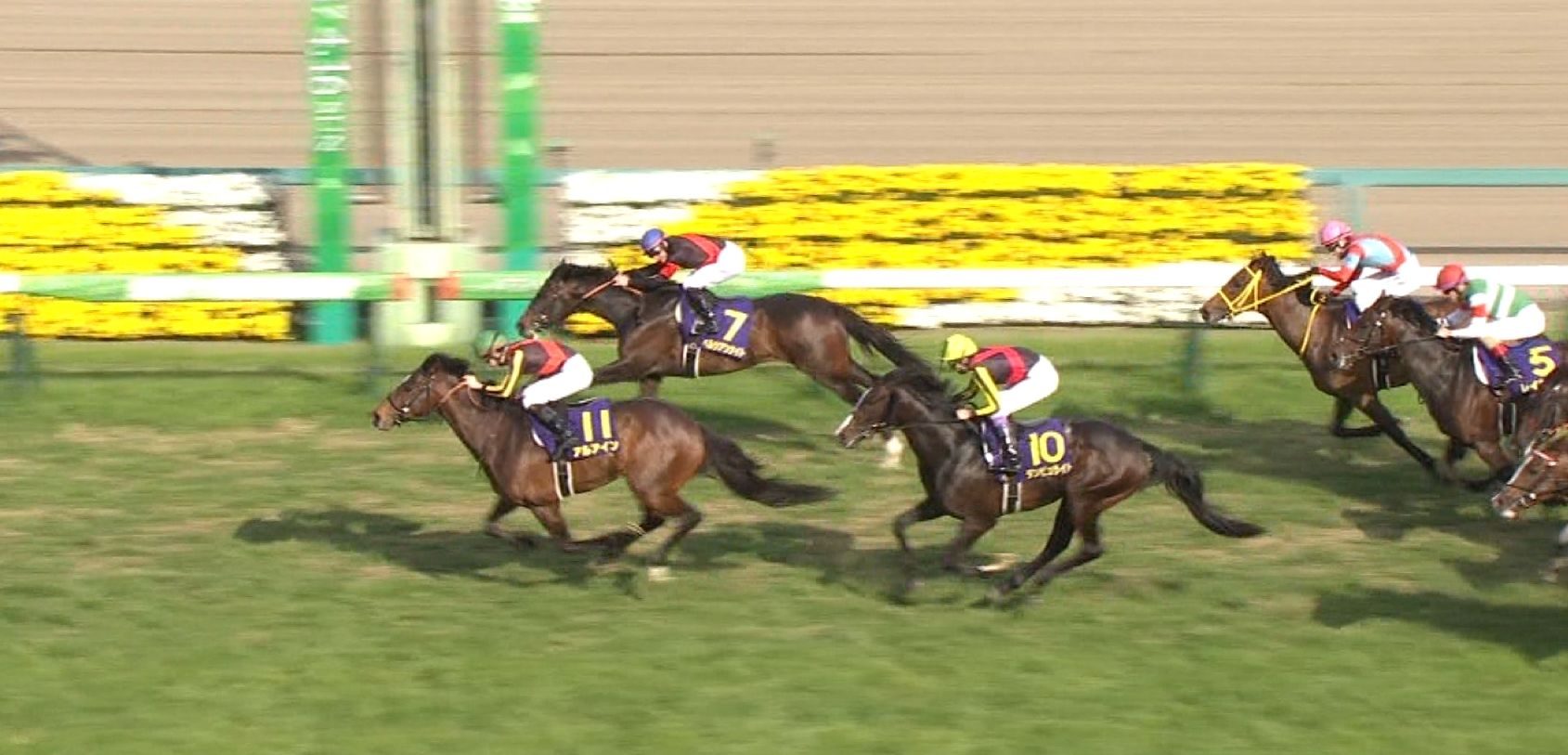 【競馬】日本ダービーの馬が絞れない・・・ 【競馬】日本ダービーの馬が絞れない・・・