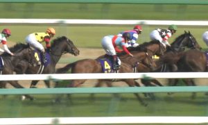 【競馬/皐月賞】9着カデナ福永「向こう正面で上がって行った分脚がなかった」 【競馬/皐月賞】9着カデナ福永「向こう正面で上がって行った分脚がなかった」