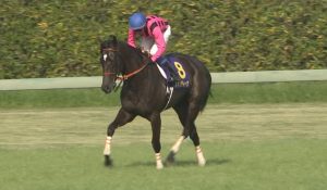 【競馬】ファンディーナ皐月賞一番人気2.4倍って何だったの？？？