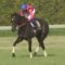【競馬/速報】ファンディーナ、この後は順調なら日本ダービーへ