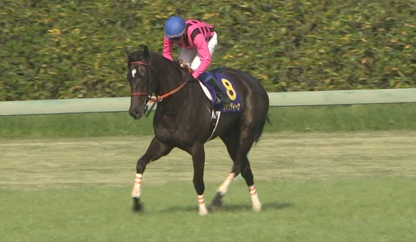 【競馬】ファンディーナ 次走はオークスor春休養 ダービー出走の選択肢はなくなる 【競馬】ファンディーナ 次走はオークスor春休養 ダービー出走の選択肢はなくなる