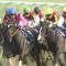 【競馬】識者「エントシャイデンが3着なのに日本馬に馬場が合わないとか無いから。凱旋門組が弱いだけ」