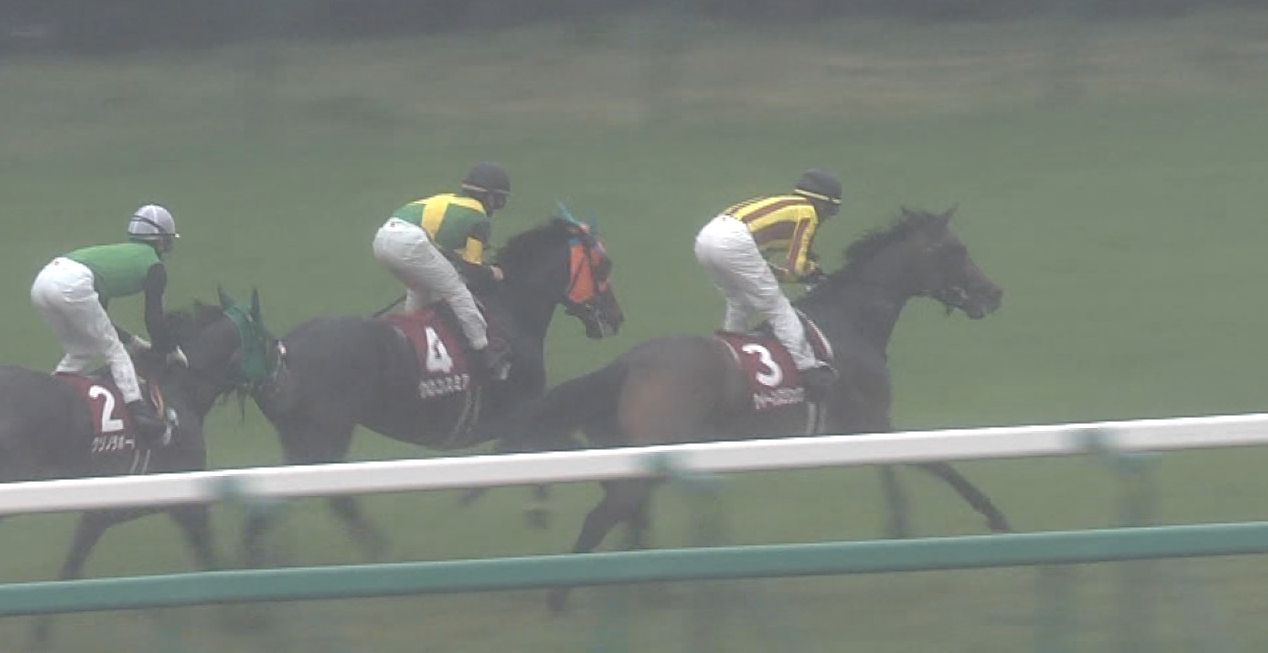 【競馬/阪神牝馬S】ミルコデミーロまじで○ねよこいつ ← クイーンズリング15着ブービー 【競馬/阪神牝馬S】ミルコデミーロまじで○ねよこいつ ← クイーンズリング15着ブービー