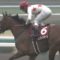 【競馬/宝塚記念】キタサンブラックが1着じゃない馬券を買う猛者よ集まれ！