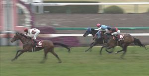 【競馬/阪神牝馬S】ミッキークイーン強すぎワロタwwwwwww 【競馬/阪神牝馬S】ミッキークイーン強すぎワロタwwwwwww