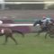 【競馬/阪神牝馬S】ミッキークイーン強すぎワロタｗｗｗｗｗｗｗ