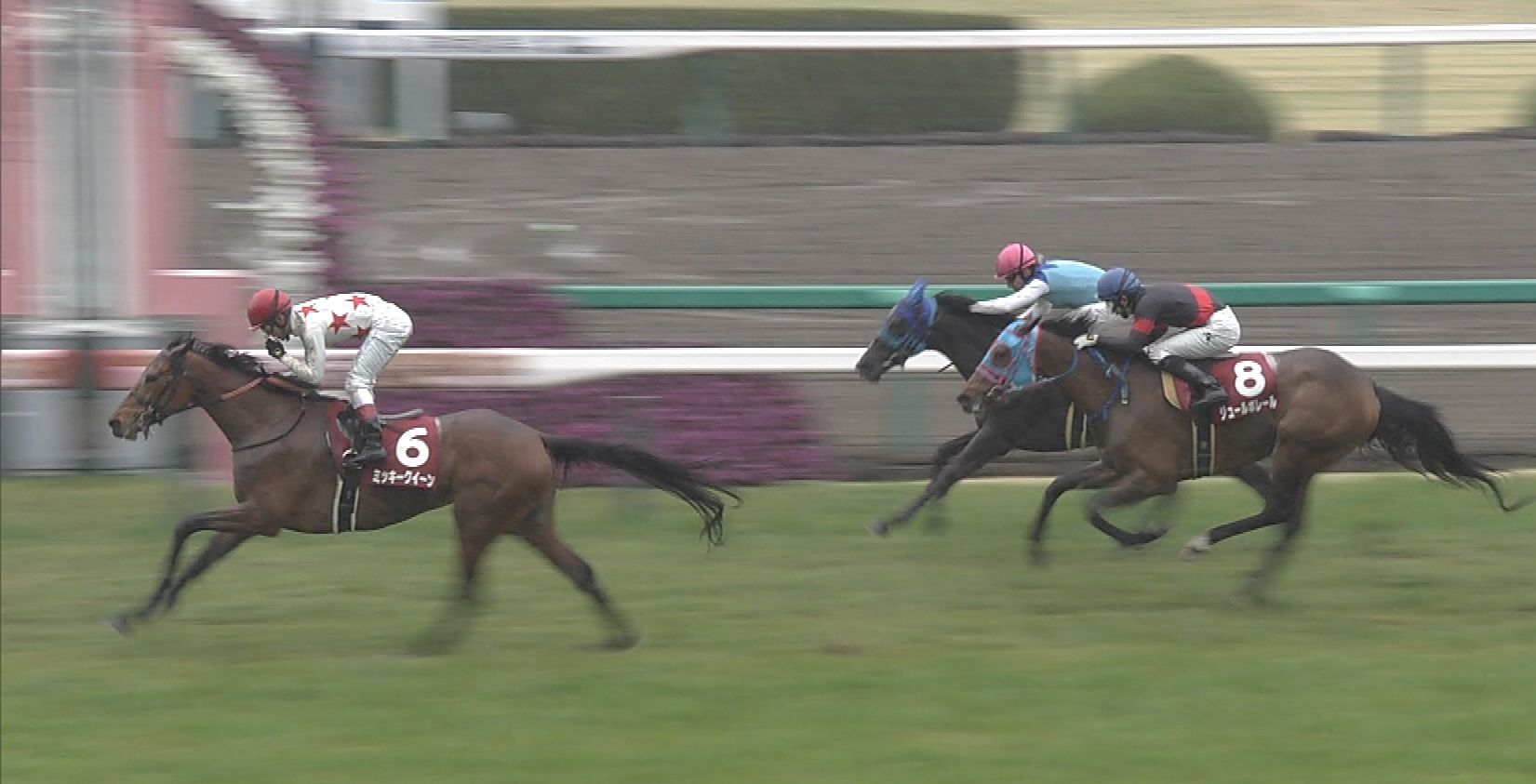 【競馬/阪神牝馬S】ミッキークイーン強すぎワロタwwwwwww 【競馬/阪神牝馬S】ミッキークイーン強すぎワロタwwwwwww