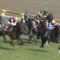 【競馬/青葉賞】アドミラブル日本ダービー1番人気確定！