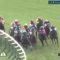 【競馬・京都大賞典】ドレッドノータス？？？？？？？？？？？？？【糞荒れ】