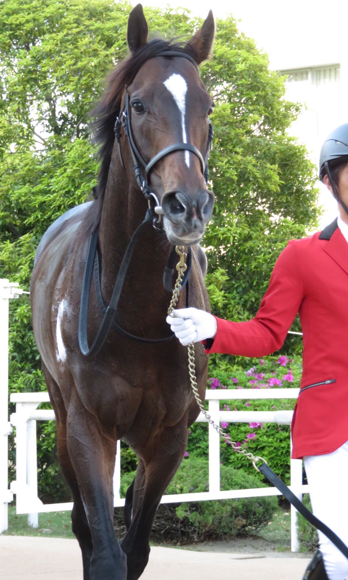 【競馬/天皇賞春】武豊｢携わっているスタッフの力が大きい。スタッフには本当に感謝しています。｣