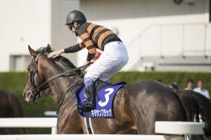 【競馬】キタサンブラックってなんで嫌われてるの? 【競馬】キタサンブラックってなんで嫌われてるの?
