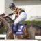 【競馬】キタサンブラックの天皇賞春・秋連覇が濃厚になってきたな