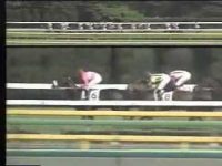 【競馬】音速の末脚が炸裂するぅぅう！！