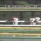 【競馬】音速の末脚が炸裂するぅぅう！！