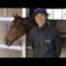 【競馬】オークスはディーパワンサが大穴開ける