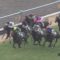 【競馬】俺の使ってる予想ソフト ダービー◎キョウヘイ、ワロタ