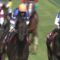 【競馬】馬主 近藤英子で思いつく馬