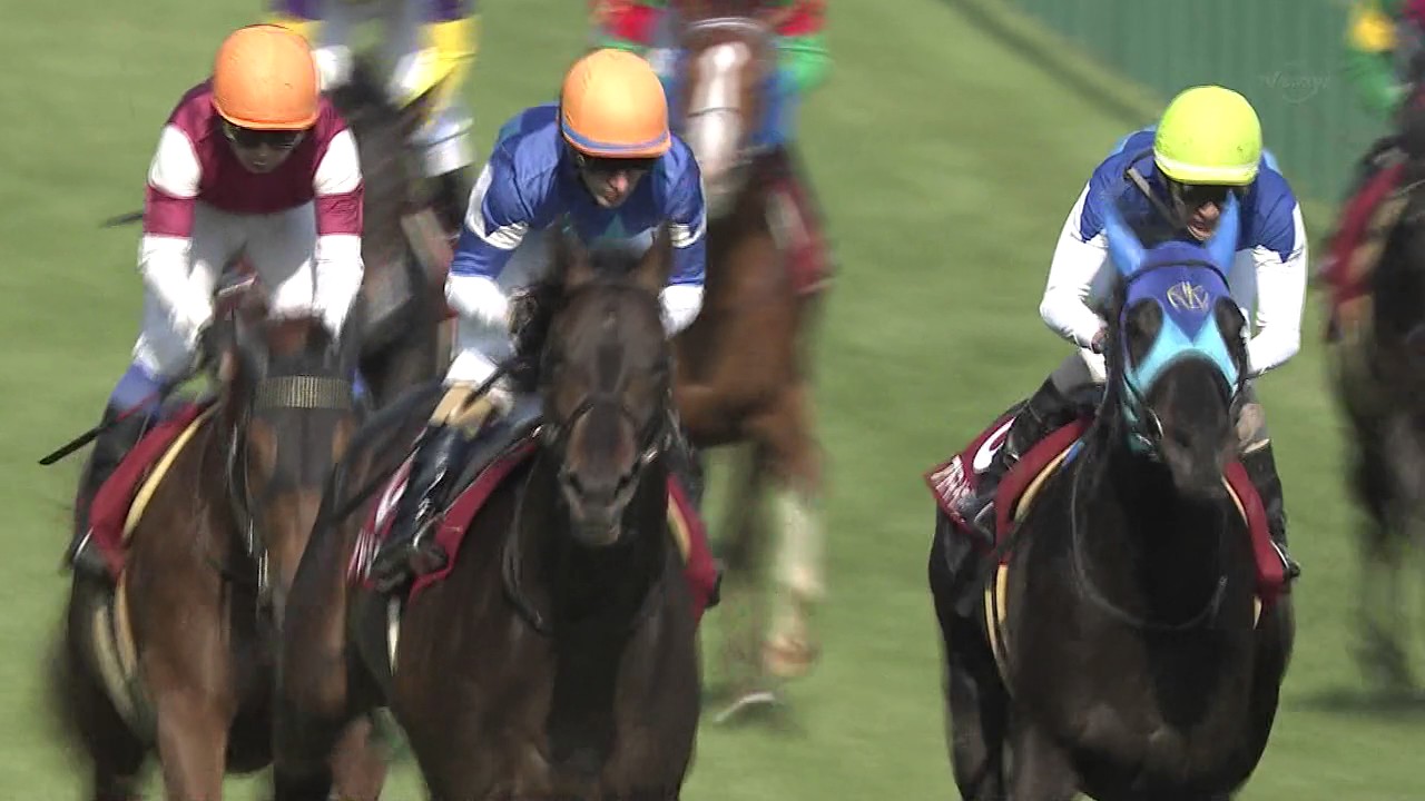 【競馬/ダービー】アドミラブルとかいう過剰人気馬について