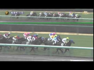 【競馬】ダイワマッジョーレ予後不良