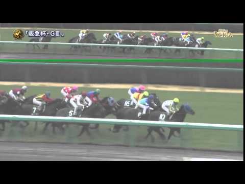 【競馬】ダイワマッジョーレ予後不良