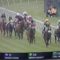 【競馬】米G12勝馬ヨシダが東京大賞典に登録。日本生まれのハーツクライ産駒