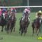 【競馬/ダービー】ダンビュライトは外から被せられるのが苦手