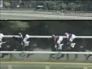 【競馬】キングカメハメハのダービー何回見ても凄いな 【競馬】キングカメハメハのダービー何回見ても凄いな
