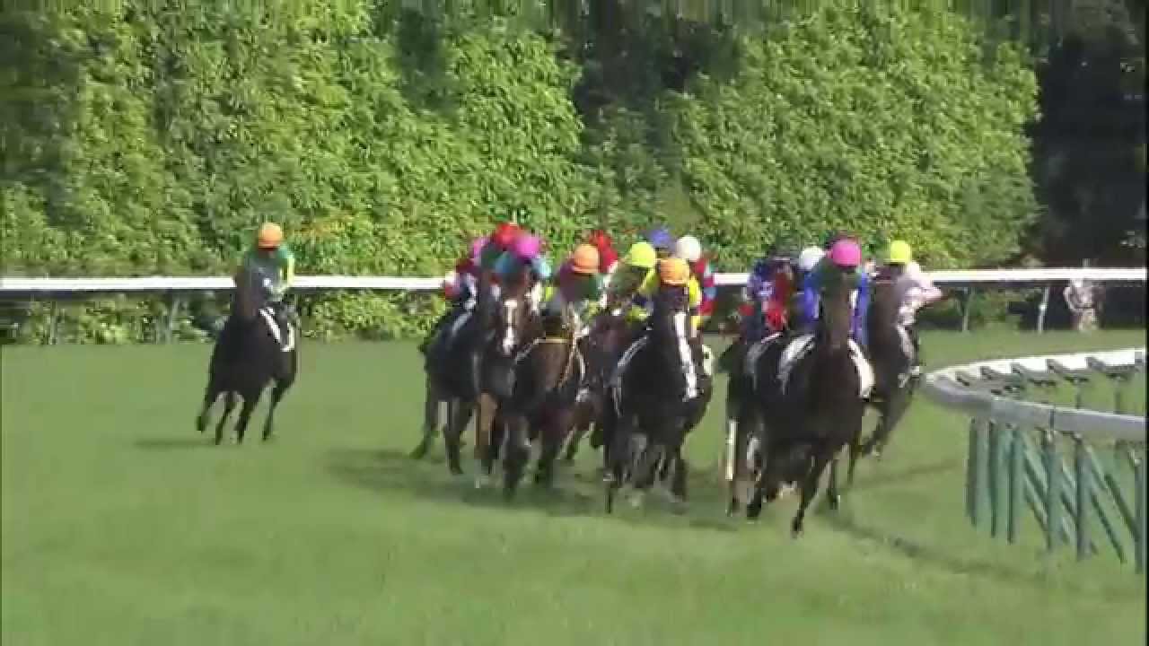 【競馬/ダービー】3年経ったけどトゥザワールド川田の糞騎乗がまだ許せない