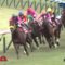 【競馬】ショウナンパンドラの2018が面白い