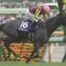【競馬】10/7（日）毎日王冠 東京競馬場