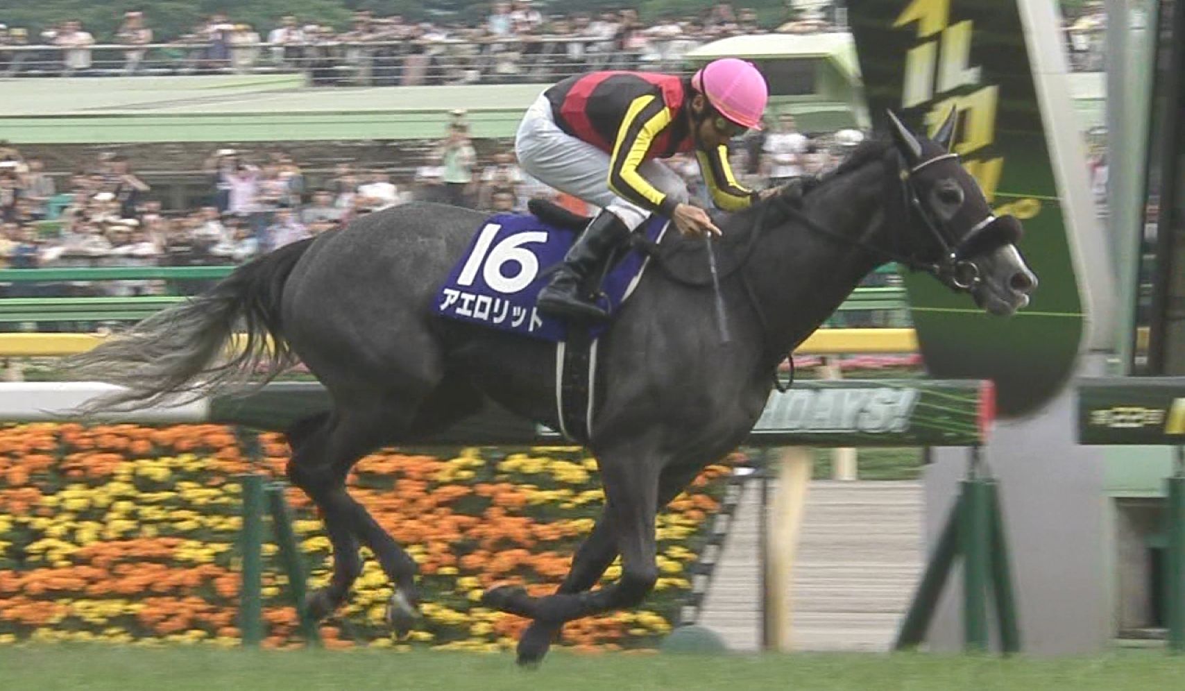 【競馬】NHKマイルカップ一発屋選手権