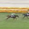 【競馬】リエノテソーロ、次走はユニコーンＳ