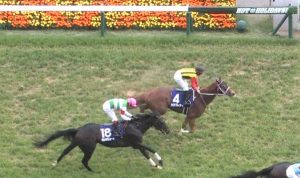 【競馬/NHKマイルC】カラクレナイ(1番人気17着)騎乗のデムーロ、笑顔で横山典弘を祝福