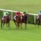 【競馬】ディープ牡馬アキヒロ(Akihiro)とは何だったのか