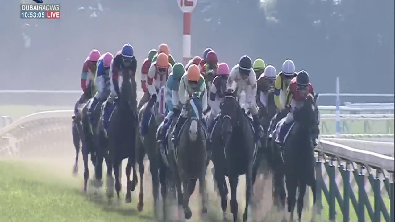 【競馬】禁止薬物「テオブロミン」怖すぎワロタ 【競馬】禁止薬物「テオブロミン」怖すぎワロタ