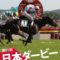 【競馬】スポーツ報知キズナを復活させてしまう【※修正済み】