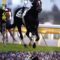 【競馬】四位洋文のウオッカへの追悼コラムが泣けると話題