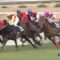 【競馬/ヴィクトリアM】おまえらアスカビレンを軽視しすぎ！ｲｹｿﾞｴ