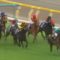 【競馬】ヴィクトリアマイルでミナレットしそうな馬