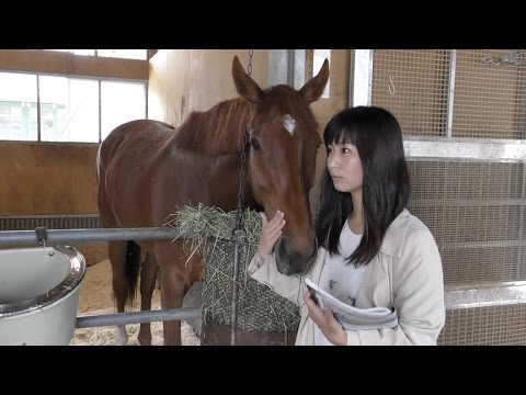 競馬 ヴィクトリアm レッツゴードンキ可愛すぎワロタwwwwww うま速 競馬まとめ速報 競馬 ヴィクトリアm レッツゴードンキ可愛すぎワロタwwwwww うま速 競馬まとめ速報