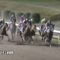 【競馬】NHKマイルカップはリエノテソーロが勝つ