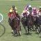 【競馬/NHKマイルC】オールザゴー民集合スレ