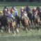 【競馬/NHKマイルC】ガンサリュートが臭い件