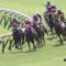 【競馬/NHKマイルC】ボンセルヴィーソってお前らどう思ってるの？