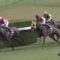 【競馬/NHKマイルC】プラチナヴォイス単勝25倍←こんなについていいのか？4万買って帯封ゲットしちゃうぞ