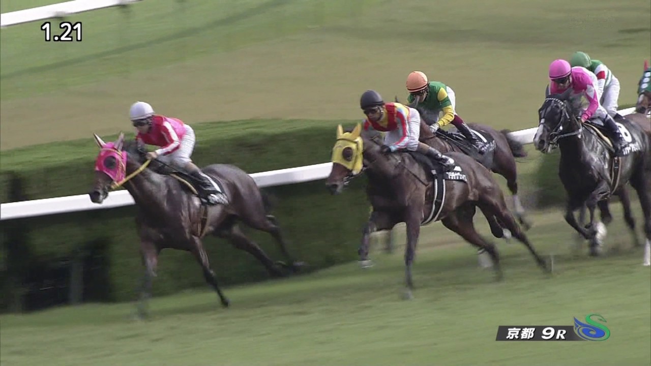 【競馬/NHKマイルC】プラチナヴォイス単勝25倍←こんなについていいのか?4万買って帯封ゲットしちゃうぞ 【競馬/NHKマイルC】プラチナヴォイス単勝25倍←こんなについていいのか?4万買って帯封ゲットしちゃうぞ
