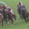 【競馬/NHKマイルC】ジョーストリクトリNZT快勝→8番人気 単勝16倍