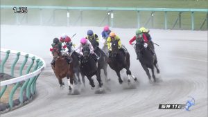 【競馬】現役最強の怪物グレイトパール、帰厩